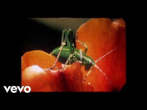 Gabi Hartmann - Lullaby (Official Video)