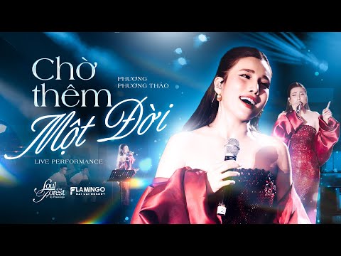 Giọng ca Phương Phương Thảo - CHỜ THÊM MỘT ĐỜI | Live at Soul of The Forest