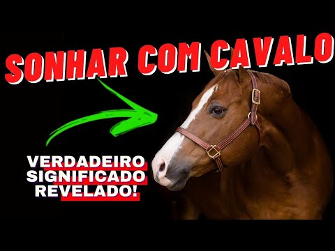 [NOVO] O que SIGNIFICA SONHAR COM CAVALO? Significado REAL de SONHOS COM CAVALO!