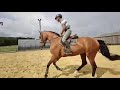 Magnifique hongre 4 ans &agrave; fort potentiel 