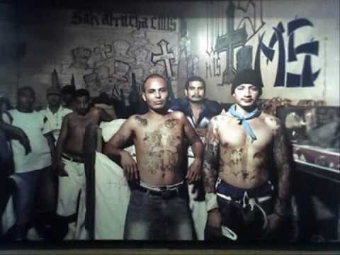 kdc-eh crecido en las calles