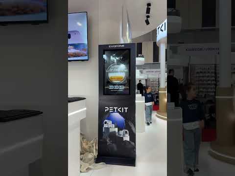 Dijital Çarkıfelek