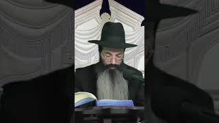 הילולת הרמב ם  הרב נתנאל אביסרור (בית הכנסת מוסאיוף - ערוץ חדש) - התמונה מוצגת ישירות מתוך אתר האינטרנט יוטיוב. זכויות היוצרים בתמונה שייכות ליוצרה. קישור קרדיט למקור התוכן נמצא בתוך דף הסרטון