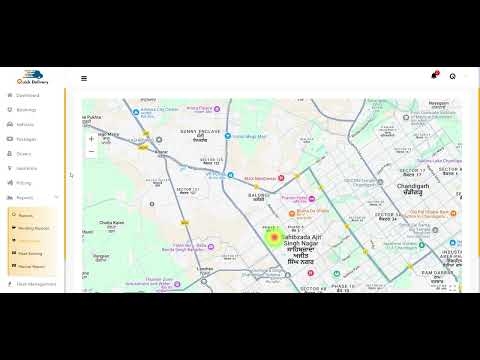 Performance Reports: Download and Review Business Metrics