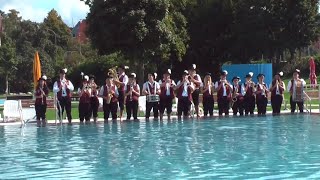 preview picture of video 'Cold Water Challenge 2014 - Musikverein Stammheim'