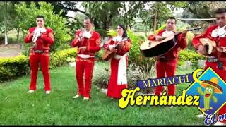 Video de Mariachi Hernandez