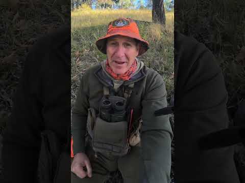 The Next Generation of Shooters | Outdoor Life with Mark van den Boogaart #hunting #family