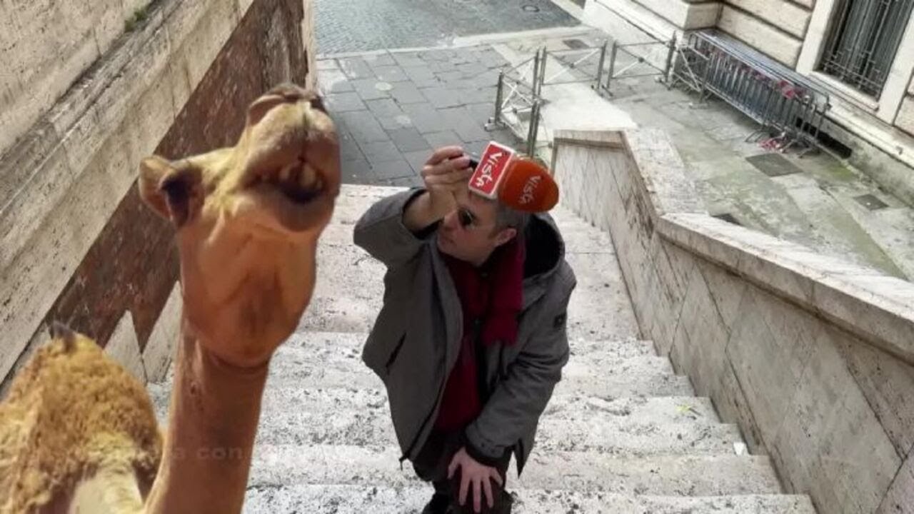 Il mio personaggio preferito. Su Camera con Vista, il programma di Alexander Jakhnagiev su La7