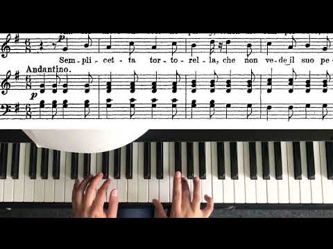 Nicola Vaccai - Piano accompaniment - Semplicetta tortorella - G major