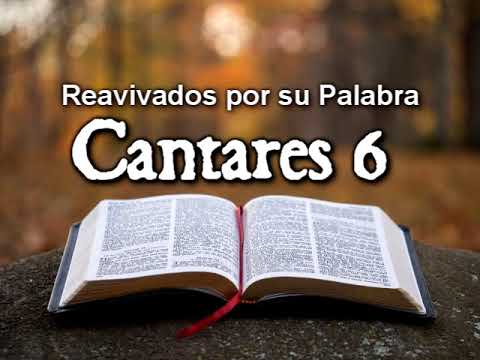 Song of Songs 6 - Reading and Reflection | Revived by His Word || August 19, 2020