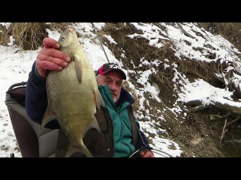 ZIMSKI RIBOLOV FEEDEROM NA SAVI - Ninoslav Žagar