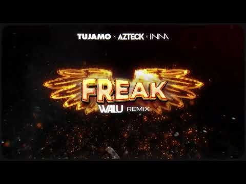 TUJAMO X AZTECK X INNA - FREAK (DJ WALU 2024 REMIX)