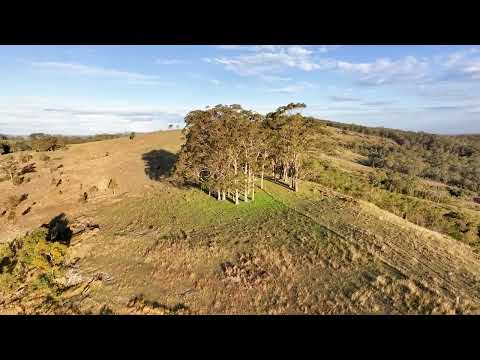 526 Torryburn Road, Torryburn, NSW 2421, 0 chambres, 0 salles de bain, Lifestyle Property