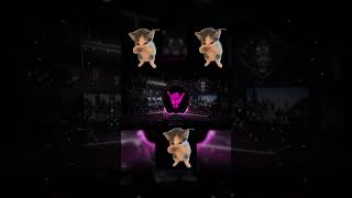 Download lagu DJ KICAU KICAU KICAU MANIA SLOW VIRAL TIKTOK TERBARU 2026 mp3 Download lagu DJ KICAU KICAU KICAU MANIA SLOW VIRAL TIKTOK TERBARU 2026 mp3