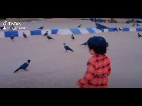 Sibgha in the Park #back #enjoy #birds #funny #foryou