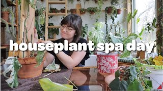 giving my plants a spa day | PLANT CHORES