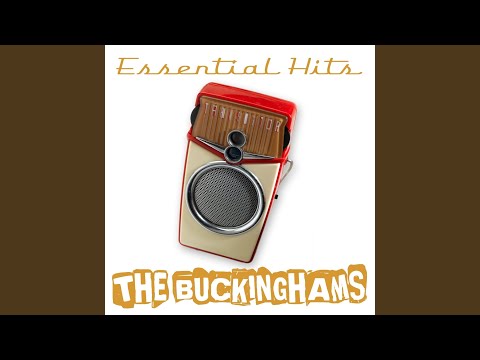 Expressway To Your Heart - The Buckinghams