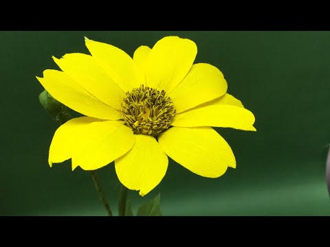 Wild flower using crepe paper | Yellow Paper flower DIY | Wild crepe paper flower | Paper flower