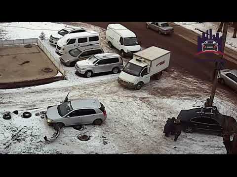 Автоледи паркуясь сбила девушку