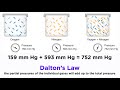 Dalton's Law and Partial Pressures