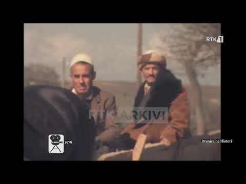 Arkivi - Drenica në Histori  20.05.2024