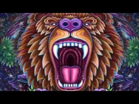 Richie Hawtin Live @ 10 Years Paxahau at Zs Villa Detroit 31.08.2008