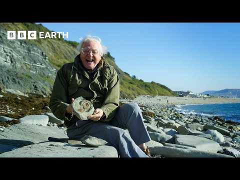 Our Favourite Sir David Attenborough Moments | BBC Earth Science