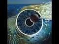 Pink Floyd - Sorrow (Live in Torino, Italy, 1994 ...