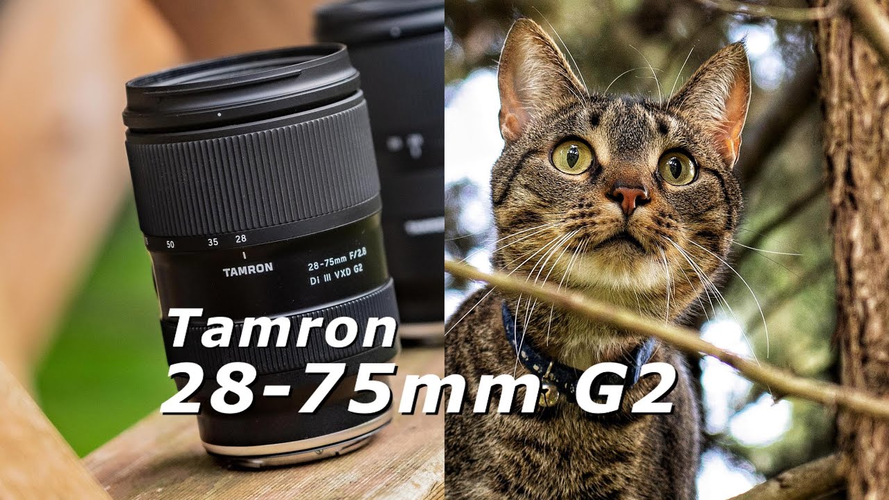 腾龙28-75mm/f2.8 Di III VXD G2二代 实测体验（A063）