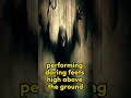 The Phantom Acrobat Storyma Ma Fear Run Mam Haunt Short