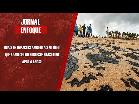 Pesquisador Camilo Dias Seabra apresenta pesquisa sobre os impactos ambientais