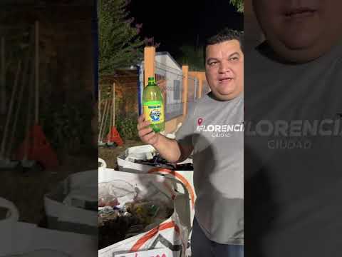 video residuos #basura #corsos #carnaval #florencia #reciclaje
