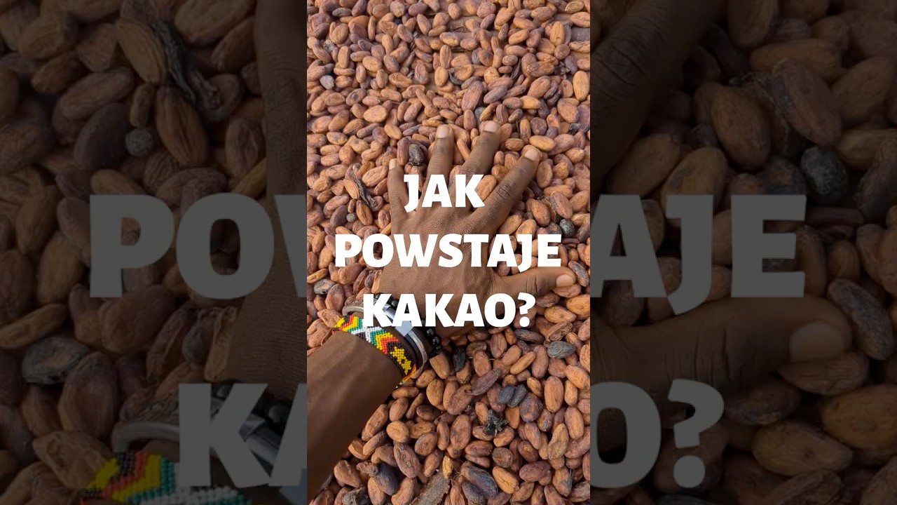 Jak powstaje kako? #fairtrade #fairtradepolska #kakao #cocoa
