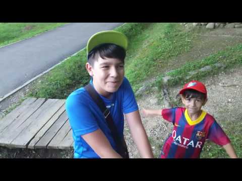 EXCLUSIV!!! ȘOCANT!!! În timpul unei filmări, gașca a fost atacată de Gigeii de Copac!!! 😂😂😂