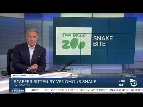 ABC 10News at 6pm Top Stories