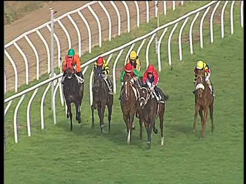 Galoppo 08/03/2018 - 3ª corsa