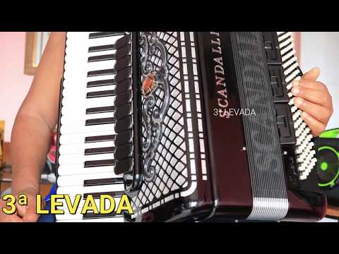 TOQUE FACILMENTE 06 (SEIS) LEVADAS DE XOTE NO ACORDEON (SANFONA).