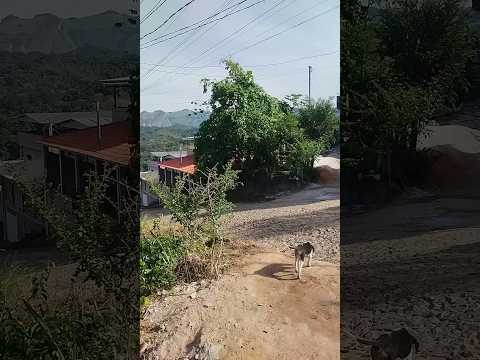 11/06/26, Santa Barbara do Tugurio, MG.#minasgerais #turismo #viagem #santabarbaradotugurio