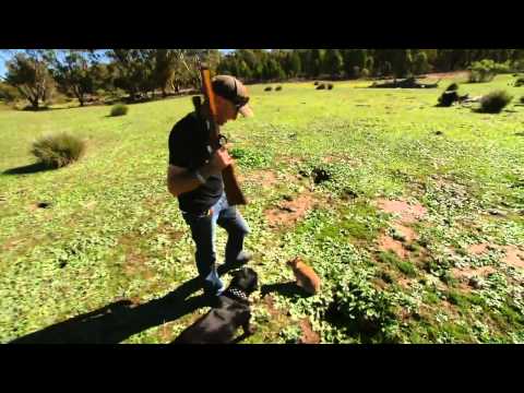 I'll give up my gun   Steve Lee