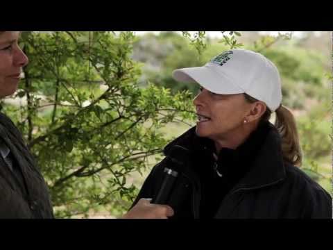 Meet Olympic Dressage Super Star Debbie McDonald