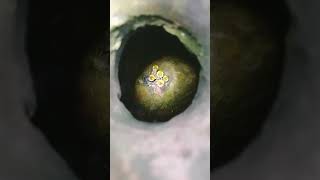 icona video