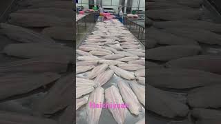 Download lagu Basa fish processing production line #fish #fishing #seafood #food #foodie #seafoodprocessing mp3