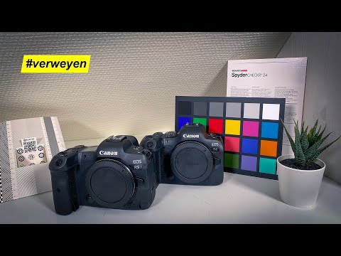 Canon EOS R5, EOS R6 und EOS R...Bildqualität in verschiedenen ISO-Stufen im Vergleich