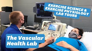 The Vascular Health Lab