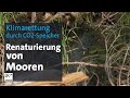 CO2-Speicherung: Moor-Renaturierung in Bayern | BR24