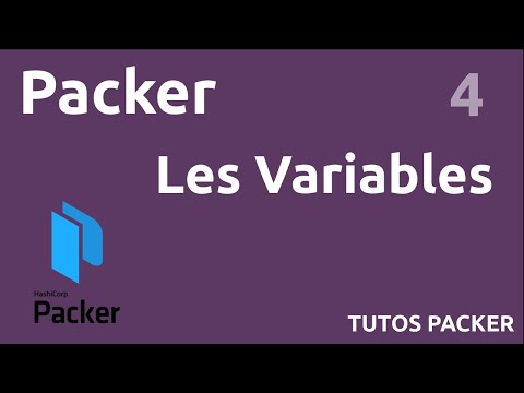 PACKER 4 LES VARIABLES