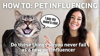How to turn your pet’s photos into money making business | Pet Influencing 101