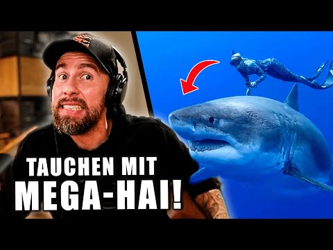 SKANDAL: INFLUENCERIN streichelt MONSTER-HAI! - Macht DAS niemals... | Robert Marc Lehmann