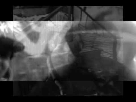 The Green Town Cokal bokal