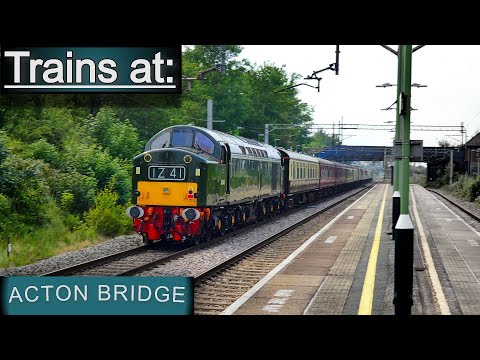 Trains at Acton Bridge 11/06/23 Featuring 40145